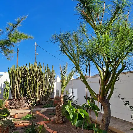 شقة Papaya-bar Rooftop Casa Coronel La Lajita, Since 2026 Lajita
